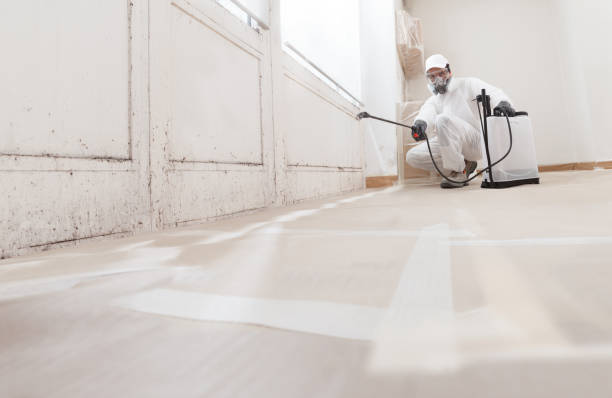 24/7 Emergency Basement Mold Remediation experts in Georgetown, KY