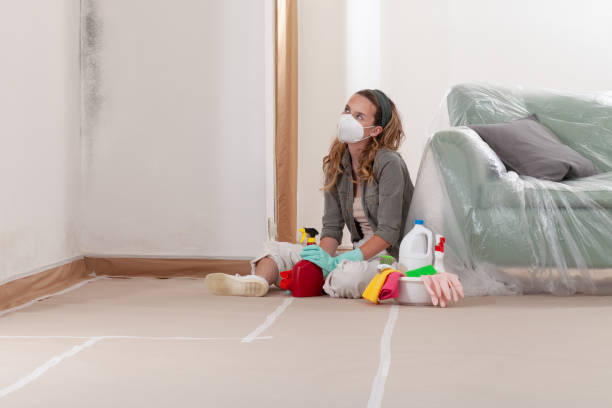 Reliable Basement Mold Remediation contractor in Georgetown, KY by Mold Remediation HQ